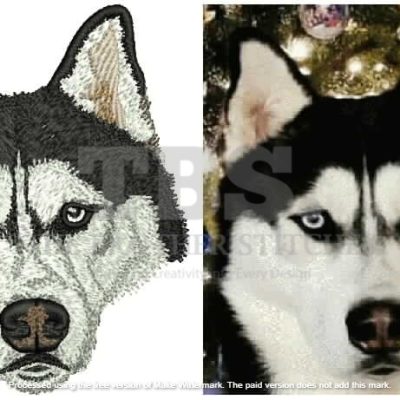 Embroidery Digitizing 09