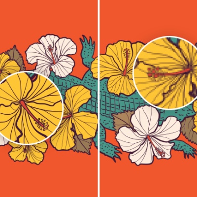 comparison-of-vector-and-raster-graphics